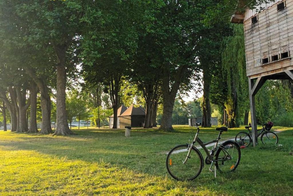 *Gite Aux Grappes Du Pressoir* A 2 Km De Beauval Seigy Exterior photo